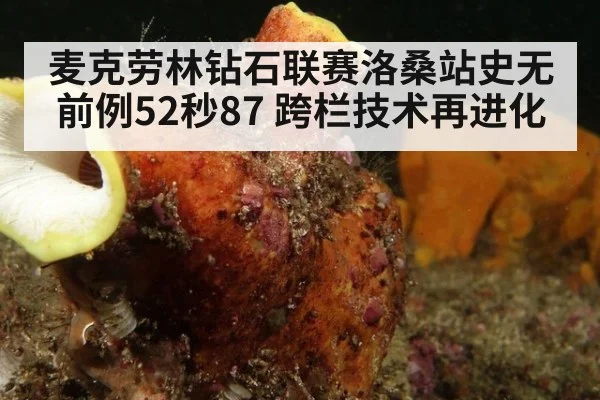 麦克劳林钻石联赛洛桑站史无前例52秒87 跨栏技术再进化